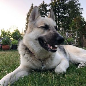 Meet your Posher, Justine